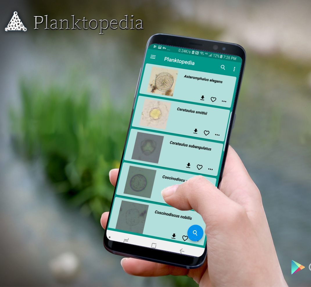 Responsive image